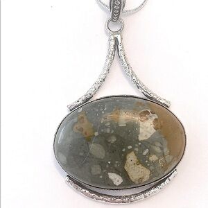 Beautiful, American Jasper pendant on a silver chain.